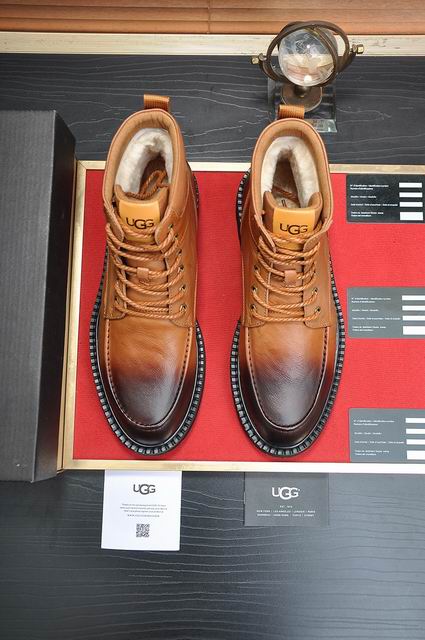 UGG Neumel Low Sneaker | EU 38–44